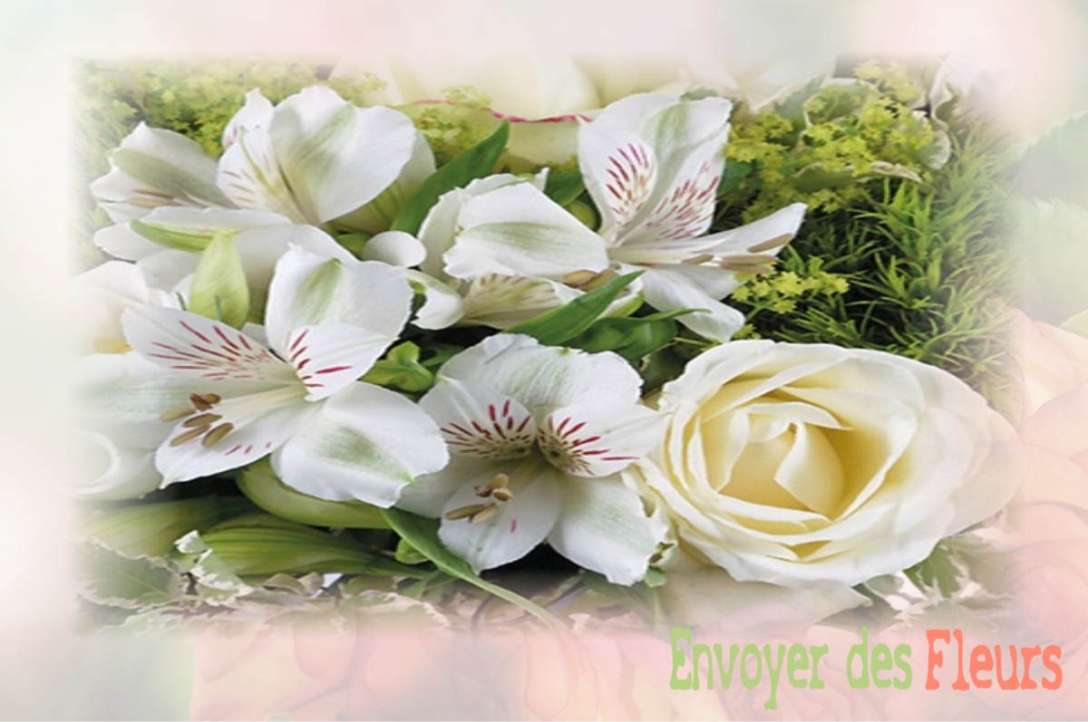envoyer des fleurs à à BOUSSIERES-SUR-SAMBRE